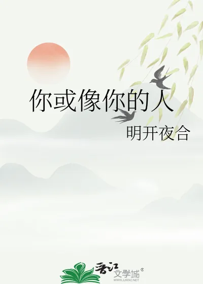 《你或像你的人》小说封面