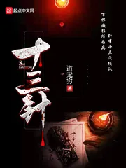 《十三针》小说封面