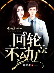 《回轮不动产》小说封面