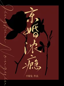 《京婚浓瘾》小说封面