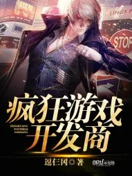 《疯狂游戏开发商》小说封面