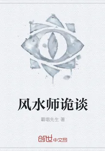 《风水师诡谈》小说封面