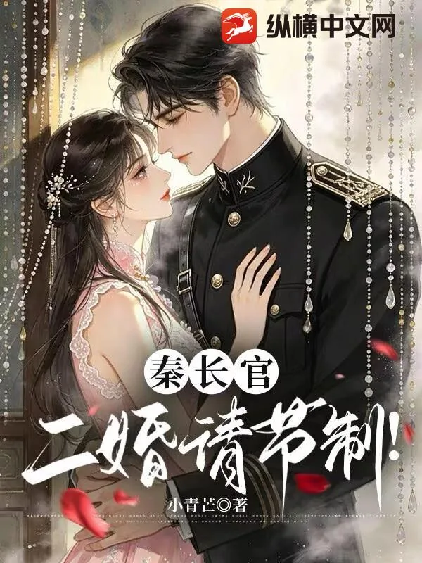 《秦长官，二婚请节制！》小说封面