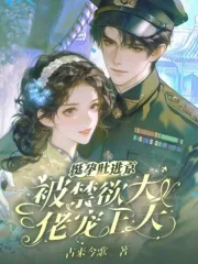 《挺孕肚进京城大院,娇娇被吻到颤》小说封面