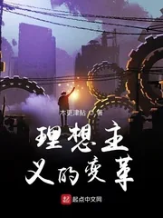 《理想主义的变革》小说封面