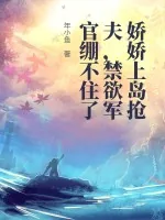 《娇娇上岛抢夫，禁欲军官绷不住了》小说封面