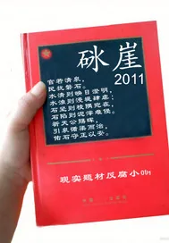 《砯崖2》小说封面
