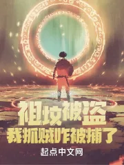 《祖坟被盗，我抓贼咋犯法了？》小说封面