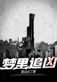《梦里追凶》小说封面