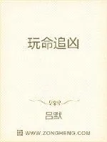 《玩命追凶》小说封面
