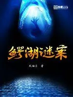 《鳄湖谜案》小说封面