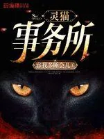 《灵猫事务所》小说封面