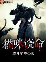 《猫咪饶命》小说封面