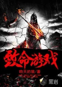 《致命游戏》小说封面