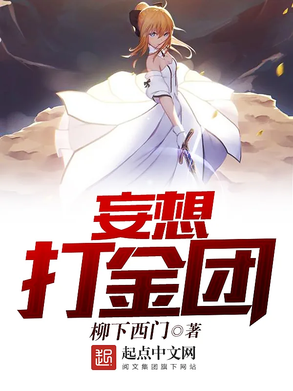 《妄想打金团》小说封面