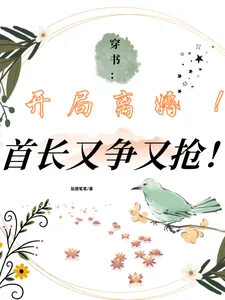 《穿书:开局离婚!首长又争又抢!》小说封面