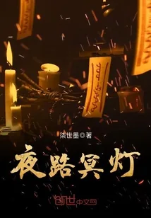 《夜路冥灯》小说封面