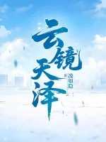 《云镜天泽》小说封面
