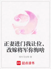 《正妻进门我让位，改嫁将军你悔啥》小说封面