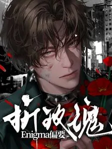 《Enigma偏要折玫瑰》小说封面