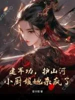 《建军功，护山河，小厨娘她杀疯了》小说封面