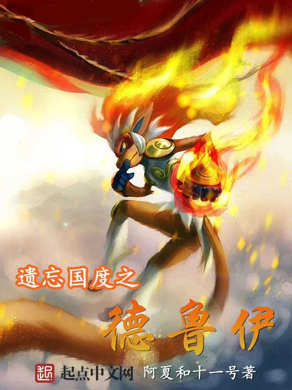 《遗忘国度之德鲁伊》小说封面