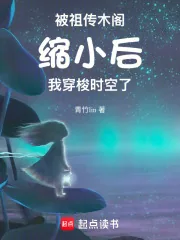 《被祖传木阁缩小后,我穿梭时空了》小说封面
