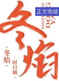 《冬焰》小说封面