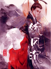 《婉风沉》小说封面
