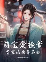 《萌宝爱捡爹，首富娘亲养不起》小说封面