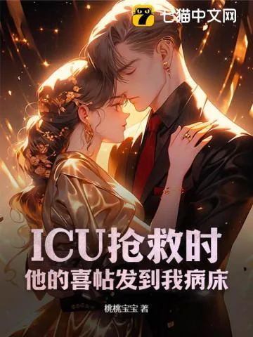 《心跳停止时，他的婚礼在放烟花》小说封面