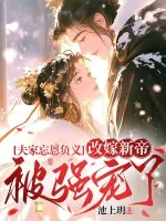 《夫家忘恩负义，改嫁新帝被强宠了》小说封面