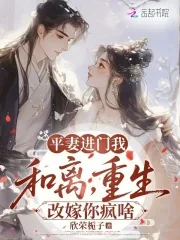 《平妻进门我和离，重生改嫁你疯啥》小说封面