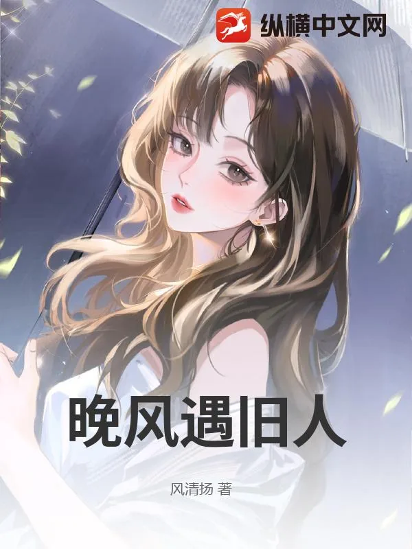 《晚风遇旧人》小说封面