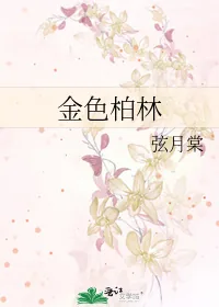 《金色柏林》小说封面