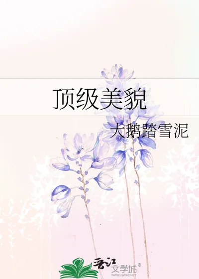 《顶级美貌》小说封面