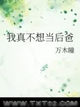 《我真不想当后爸》小说封面