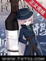 《（名柯同人）乌鸦折叠》小说封面