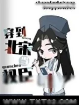 《穿到北宋当权臣》小说封面