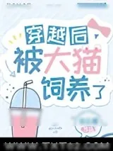 《穿越后被大猫饲养了》小说封面