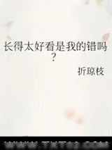 《长得太好看是我的错吗？》小说封面