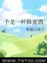 《予龙一杯蜂蜜酒》小说封面