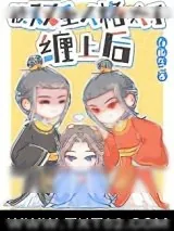 《被双重人格太子缠上后》小说封面