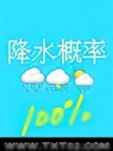 《降水概率百分百》小说封面