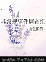 《非常规事件调查组》小说封面
