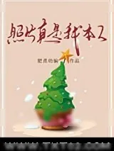 《照片真是我本人》小说封面