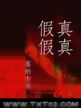 《真真假假》小说封面