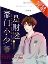 《豪门小少爷是财迷》小说封面
