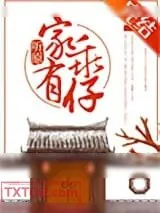 《家有乖仔》小说封面