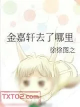 《金嘉轩去了哪里》小说封面